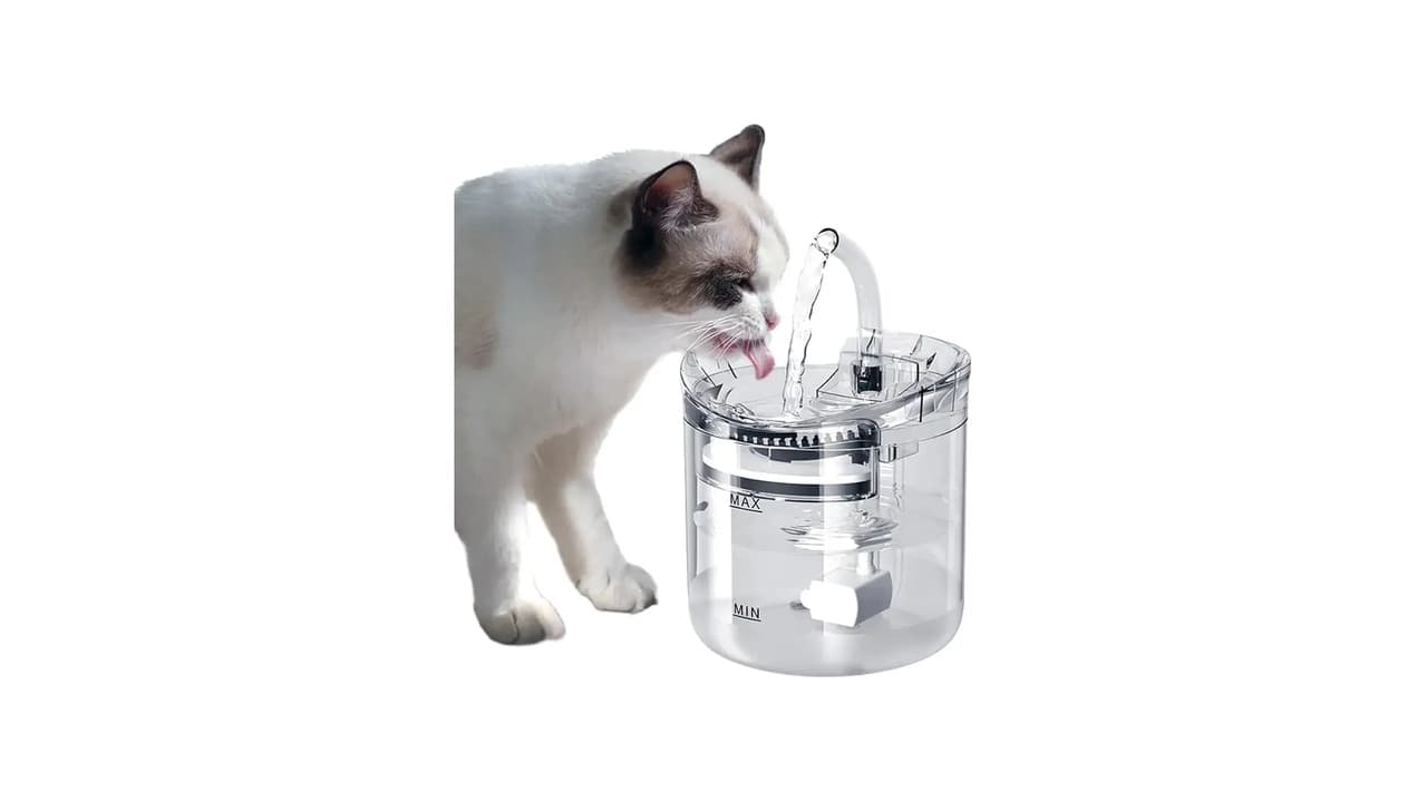 Qual o Melhor Bebedouro para Gatos? 10 Modelos Silenciosos e Práticos
