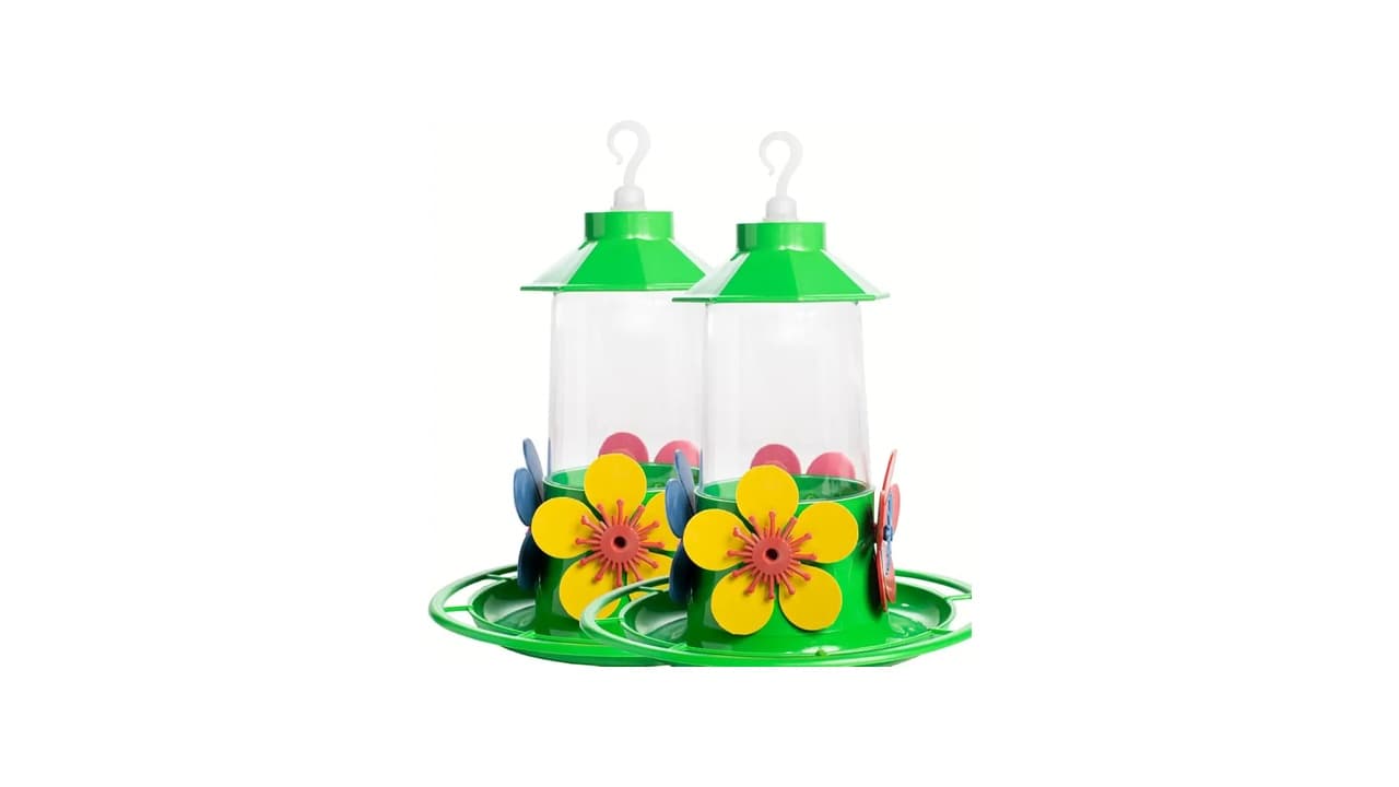 Qual o Melhor Bebedouro para Pássaros? Melhores Opções para Atrair Beija-Flores