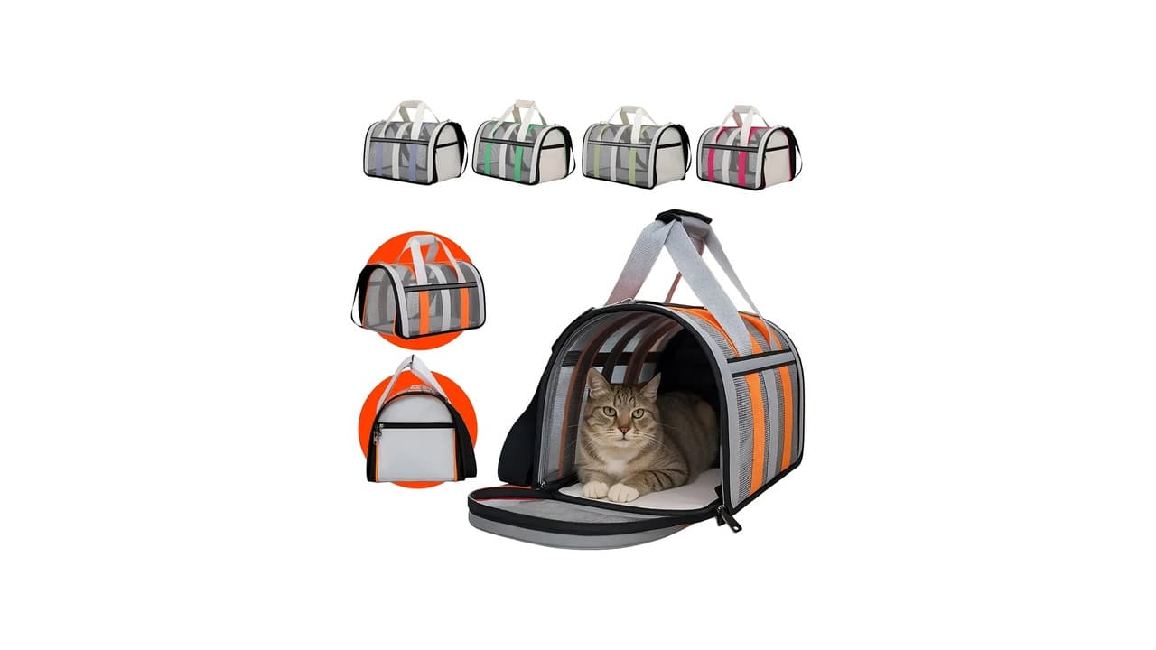 Qual Melhor Bolsa de Transporte para Gatos? 5 Opções Testadas e Seguras