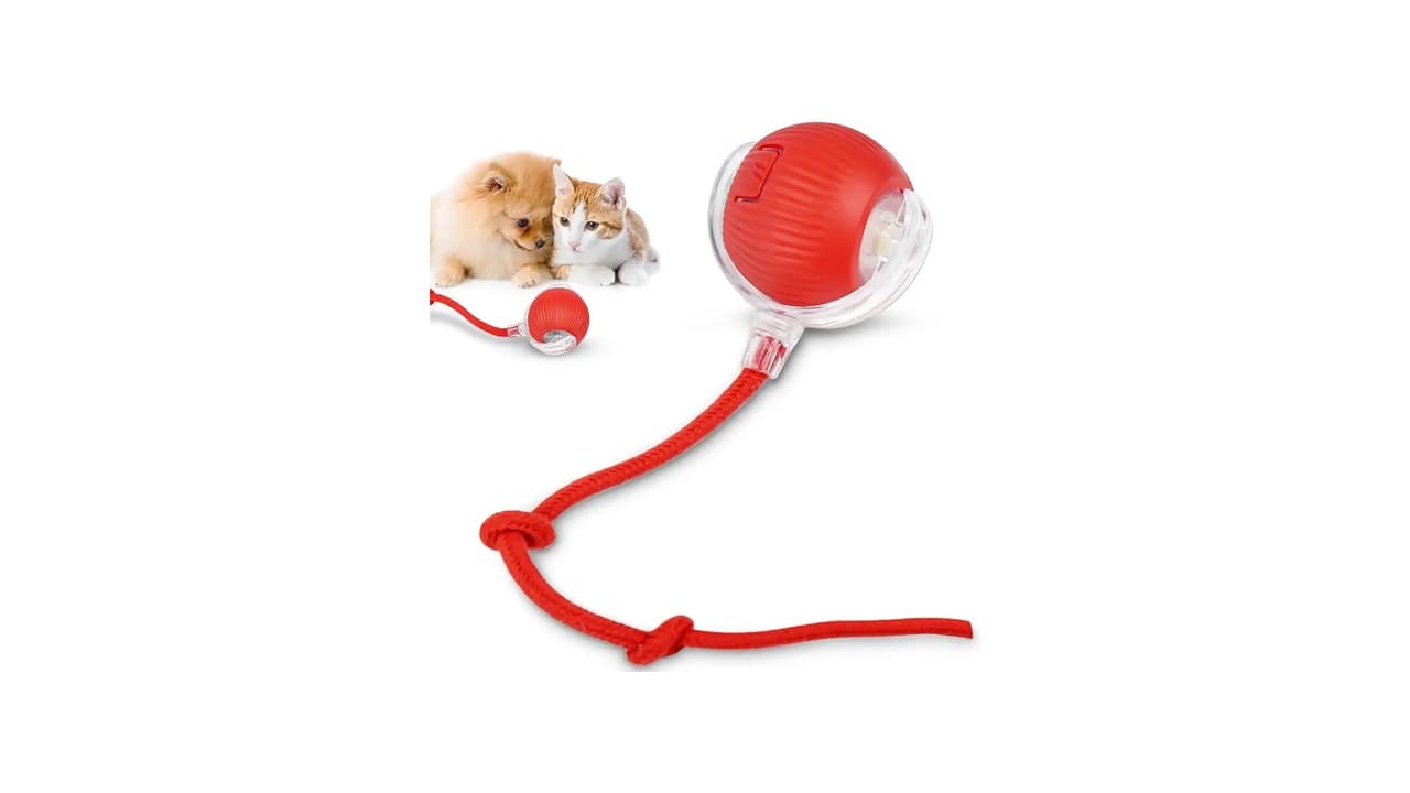 Qual Melhor Brinquedo Interativo Pet: 10 Opções para Animais Ativos