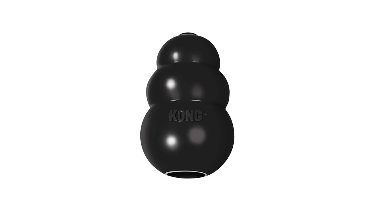 Qual o Melhor Brinquedo Kong para Cachorro: 10 Opções Testadas e Duráveis