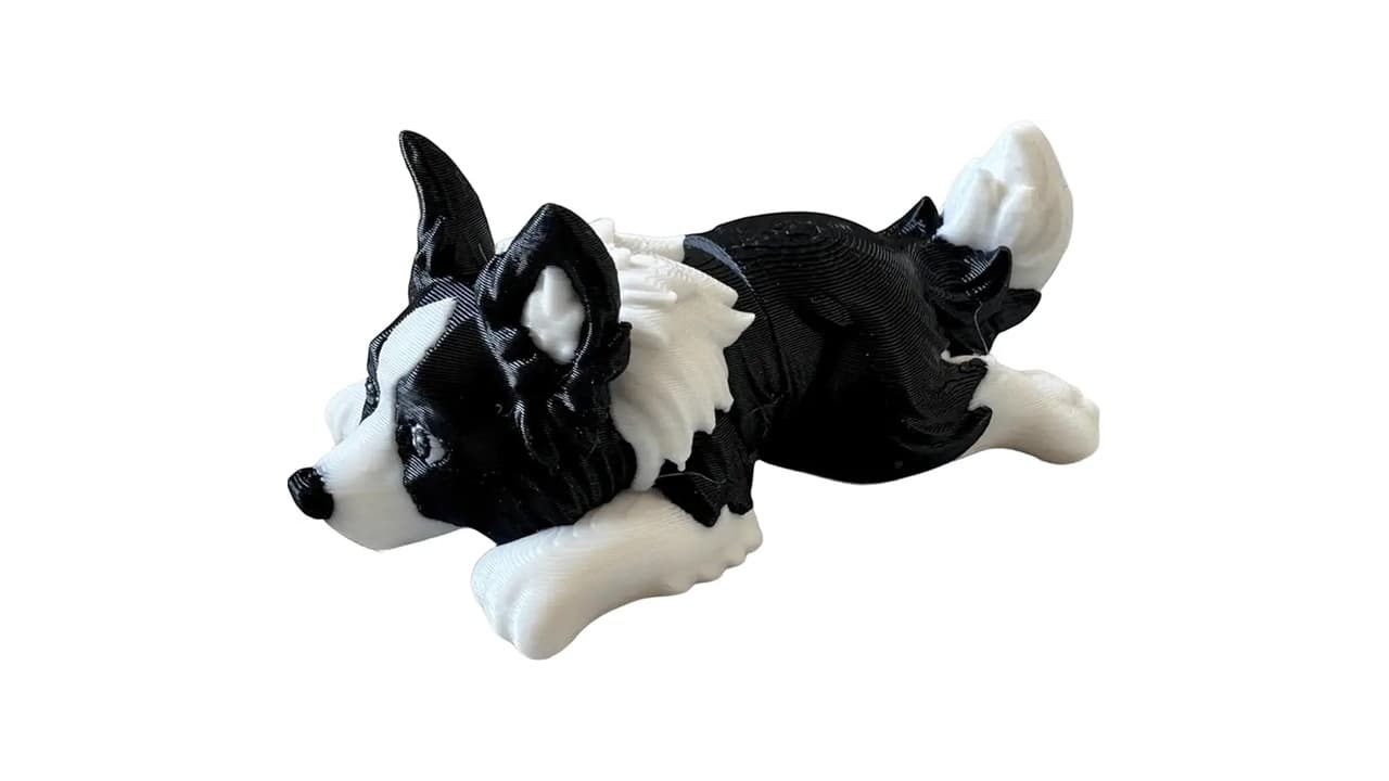 Qual Melhor Brinquedo para Border Collie: 10 Opções Testadas e Recomendadas