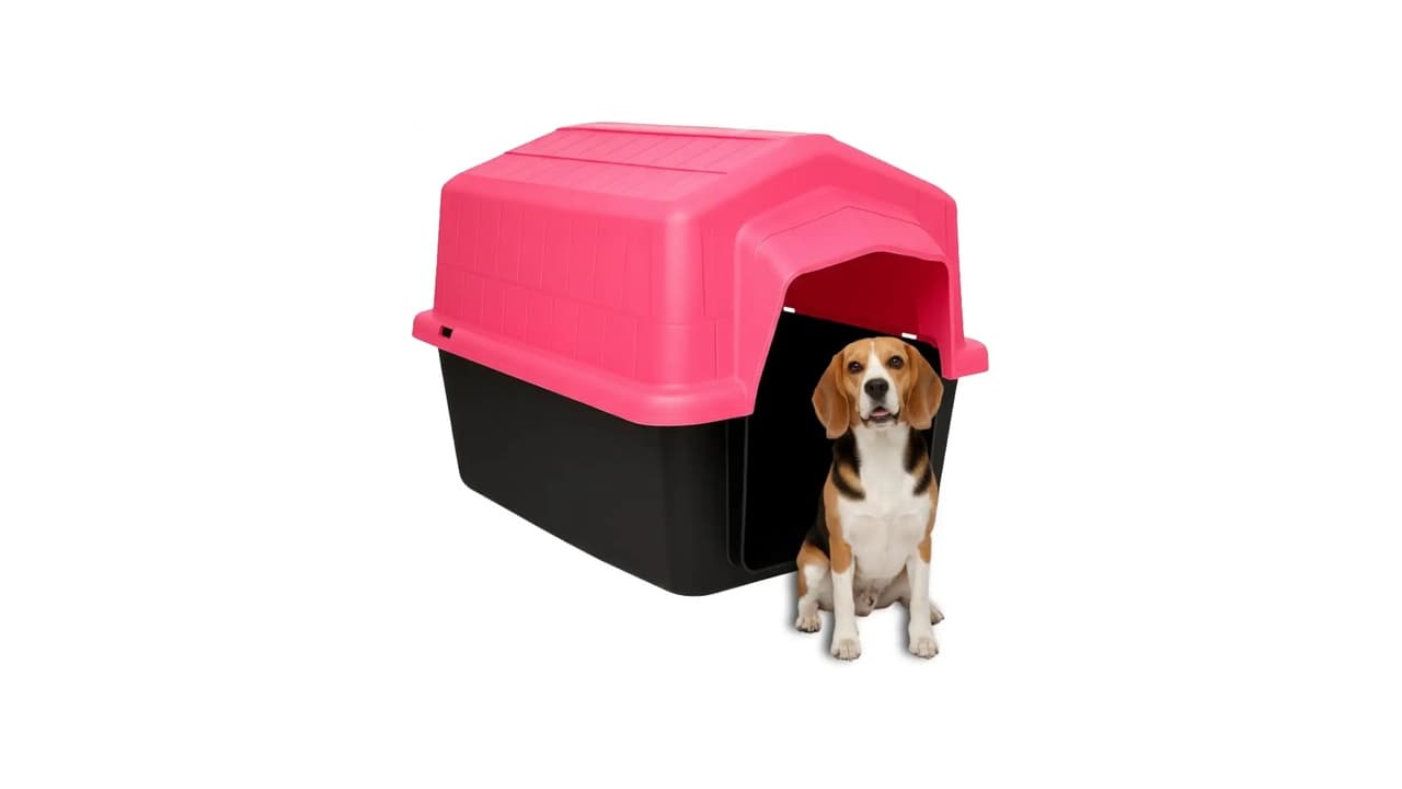 Qual a Melhor Casa de Cachorro de Plástico? 10 Opções Testadas e Recomendadas