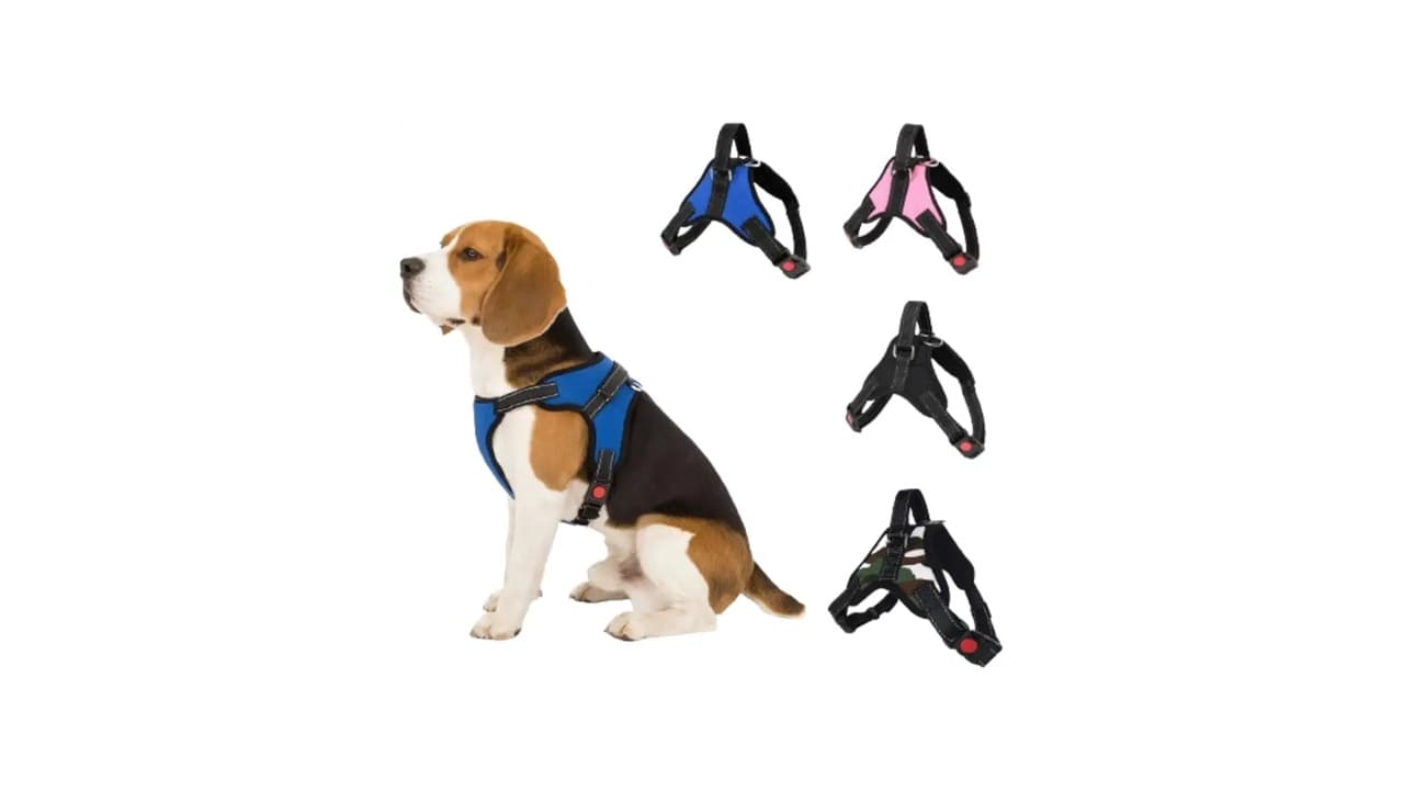 Qual a Melhor Coleira para Cachorro: 10 Modelos Testados e Aprovados