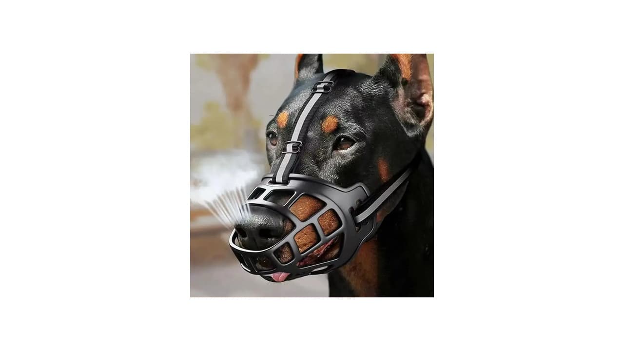 Qual a Melhor Focinheira para Cachorro? 10 Modelos Seguros e Confortáveis
