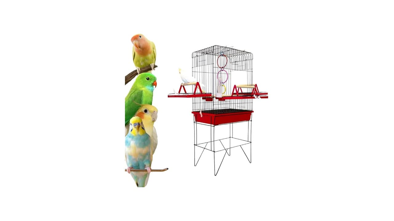Qual a Melhor Gaiola para Calopsita? 7 Modelos Testados e Espaçosos para Felicidade das Aves