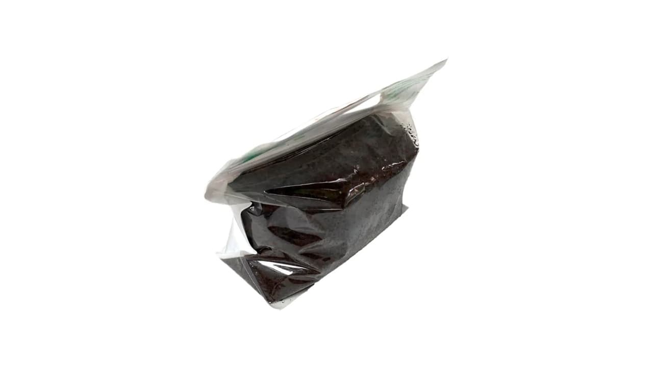 Qual Melhor Minhoca para Composteira? 7 Opções para Compostagem Rápida e Orgânica