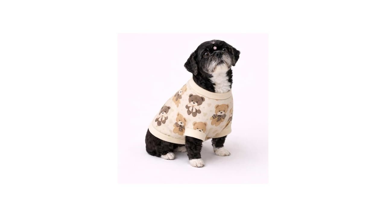 Qual Melhor Roupa de Soft para Cachorro? 10 Modelos Testados e Aprovados