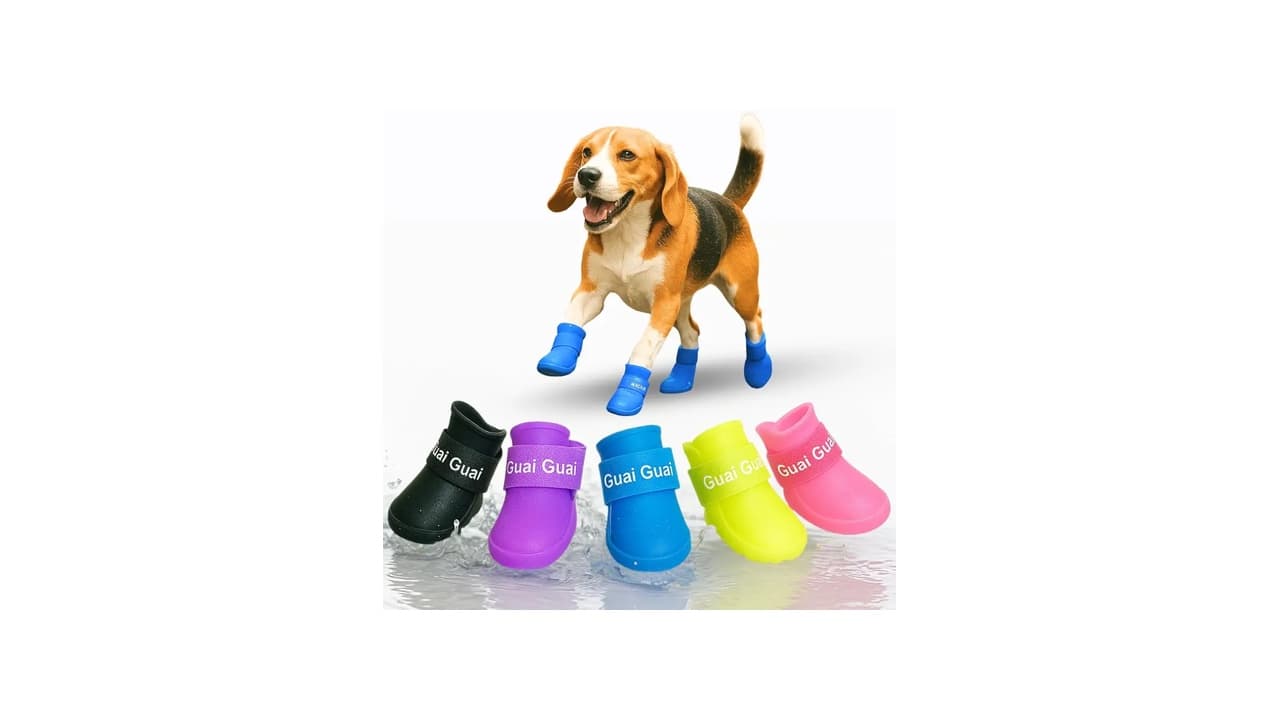 Qual o Melhor Sapatinho de Inverno para Cachorro? Confira 7 Opções Testadas