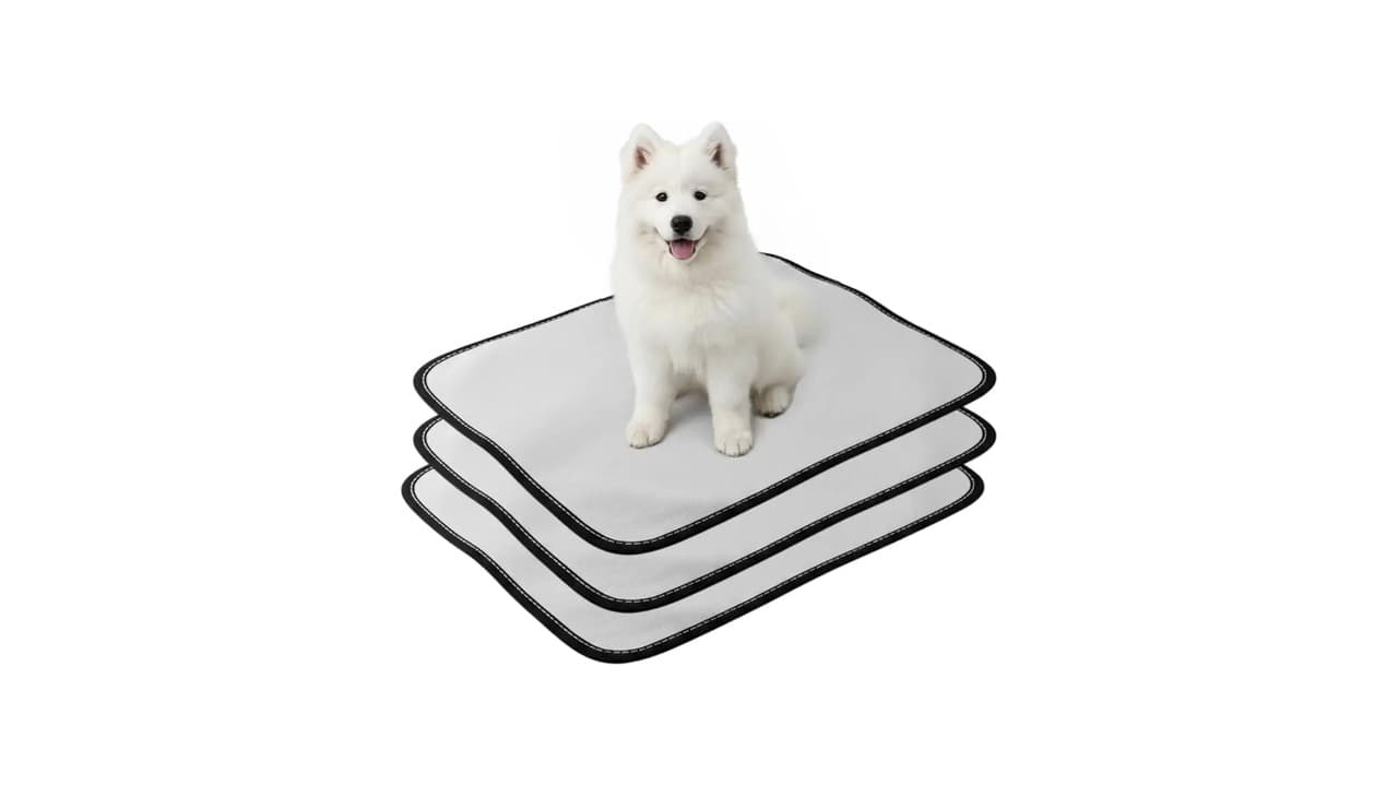 Qual o Melhor Tapete Higiênico Lavável para Cachorro? Confira 10 Opções Top!