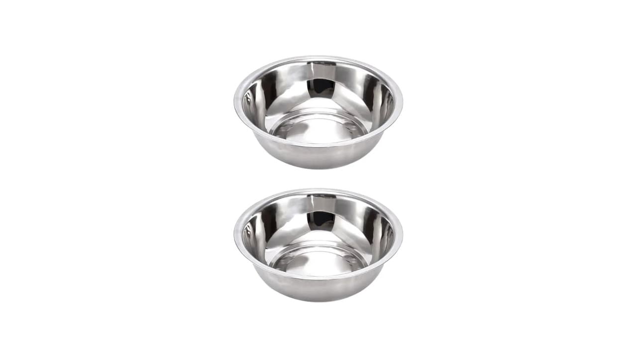 Qual a Melhor Vasilha para Cães? 5 Opções Testadas e Aprovadas