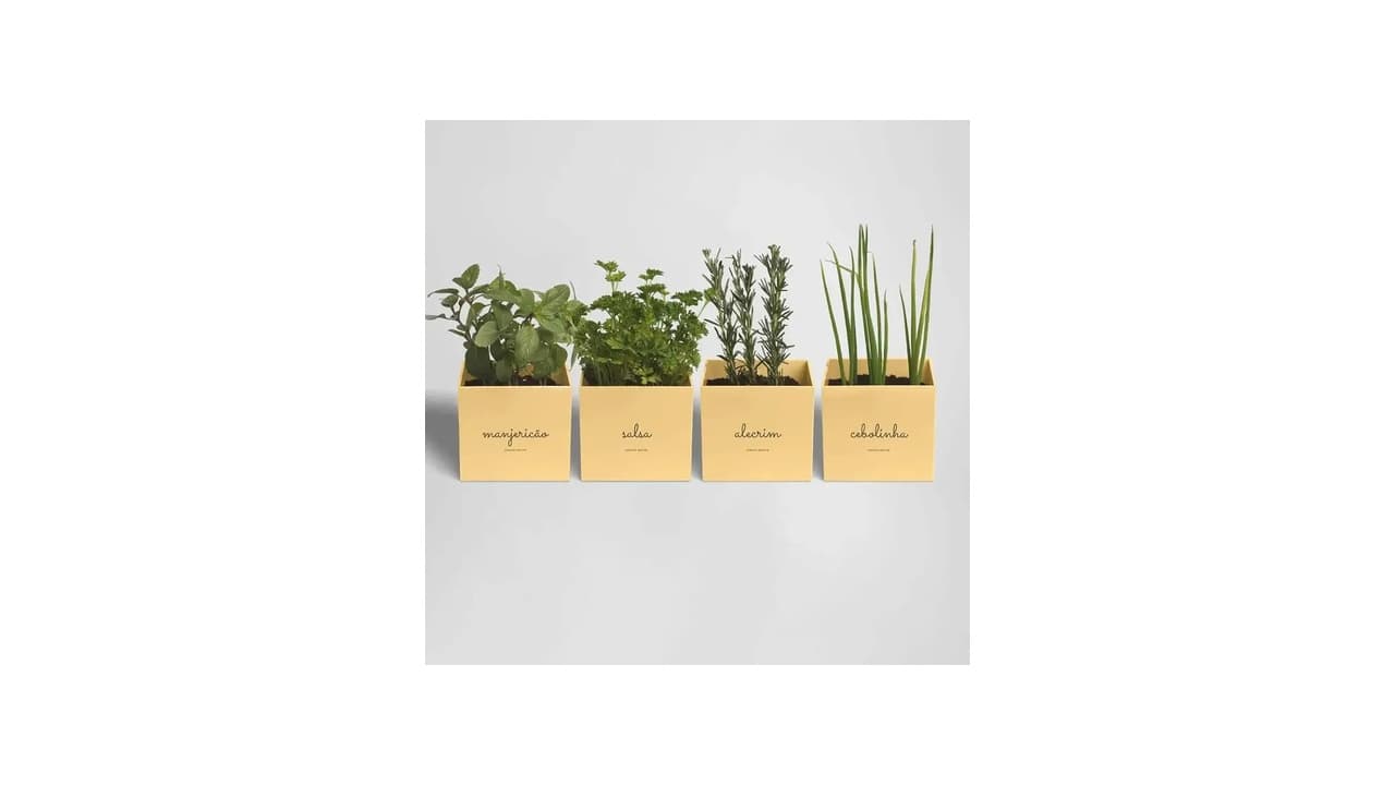 Qual o Melhor Vaso Autoirrigável para Plantar em Apartamento? 12 Opções Testadas