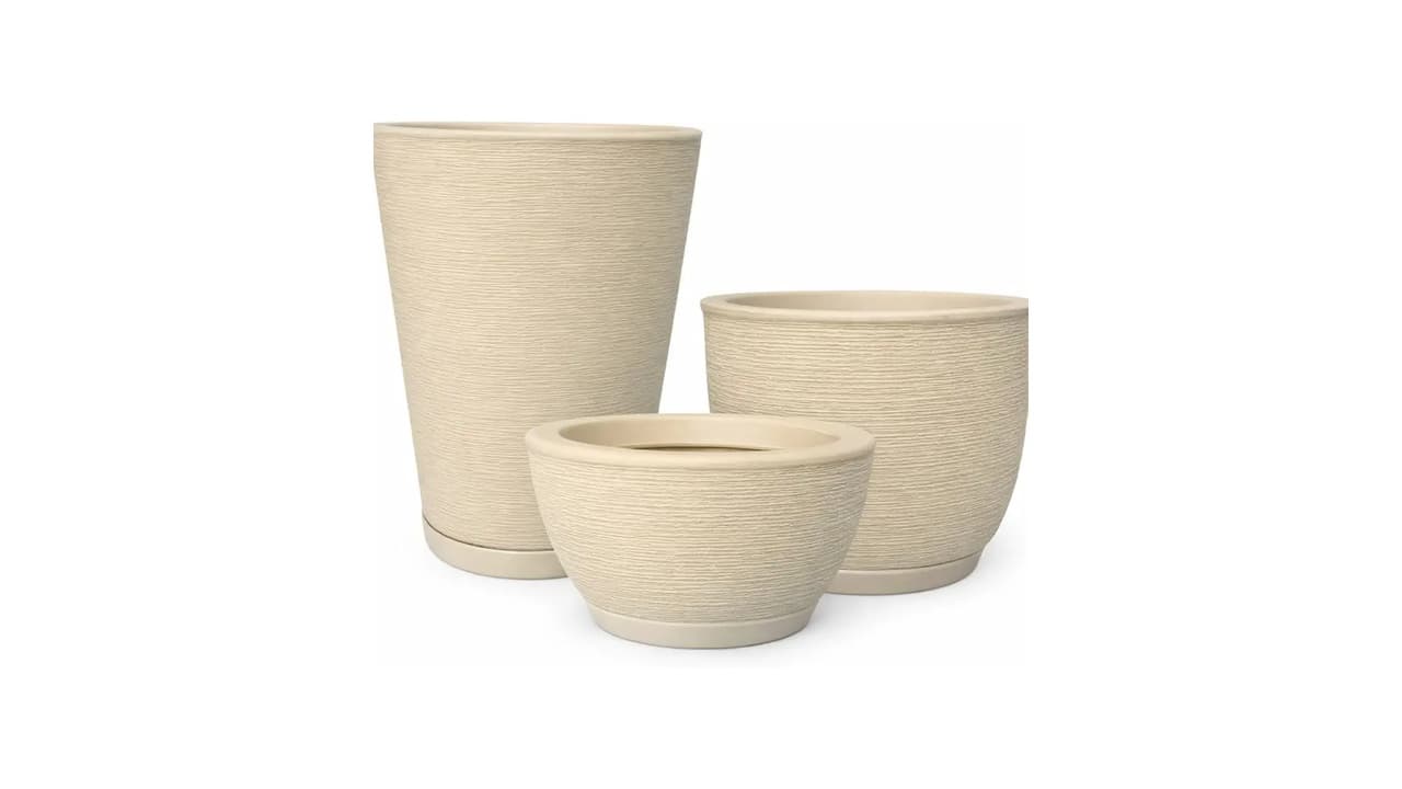 Qual o Melhor Vaso de Planta: 7 Modelos Testados e Aprovados