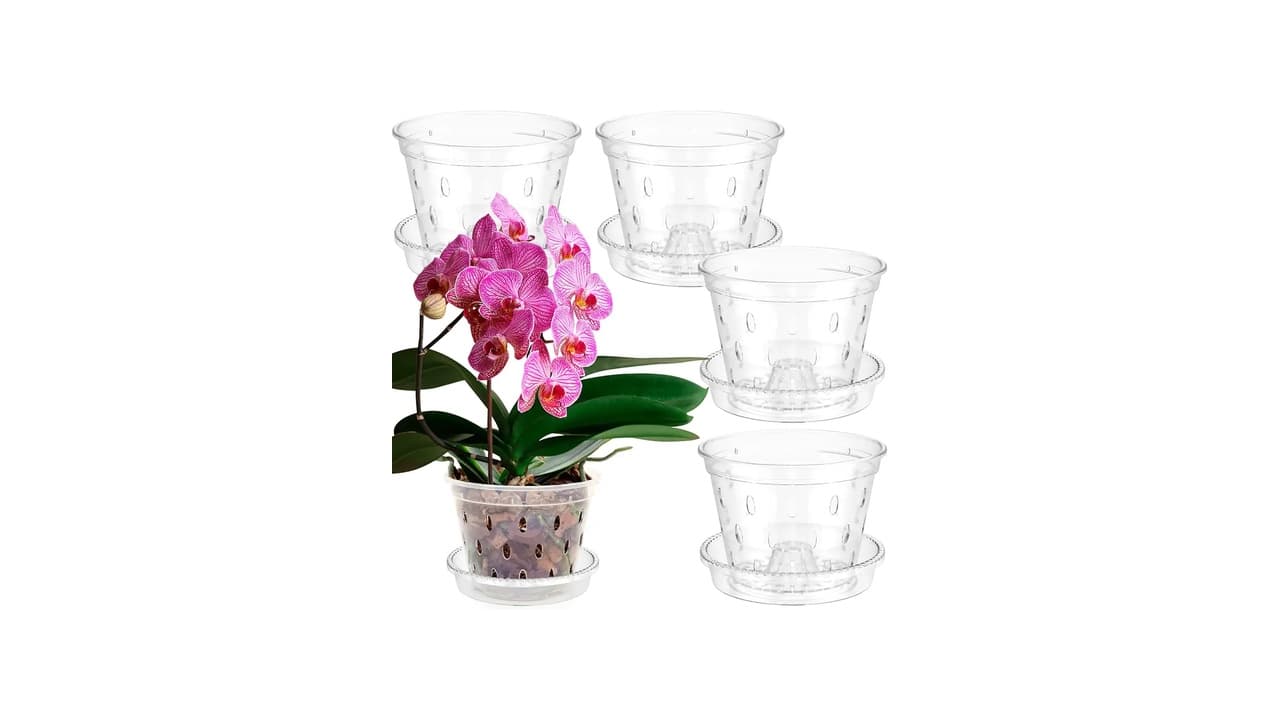 Qual o Melhor Vaso para Orquídea Cattleya: 7 Opções Testadas e Aprovadas