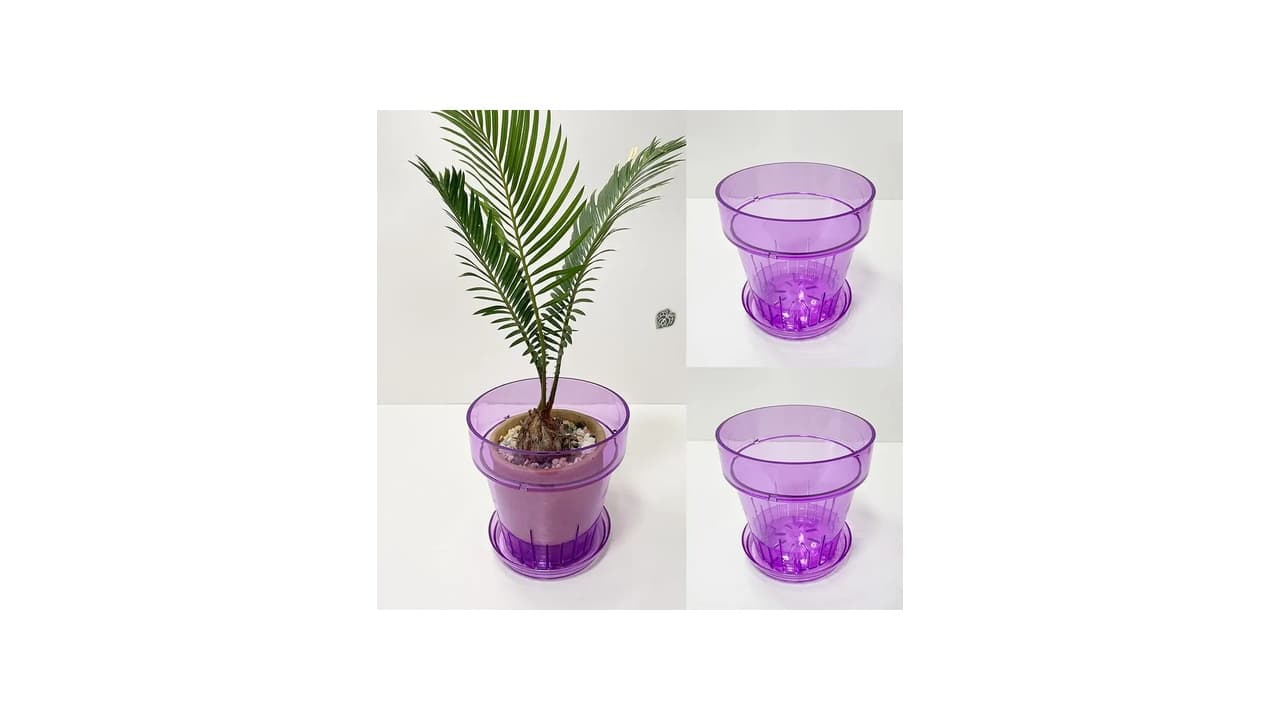 A Melhor Vaso para Orquídea Oncidium? Confira 7 Opções Top para Crescimento Saudável