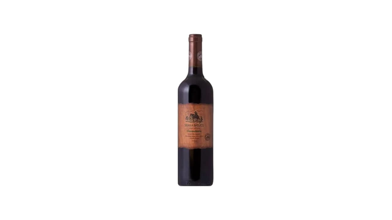 Qual o Melhor Vinho Chileno Carménère? 5 Opções Top Testadas