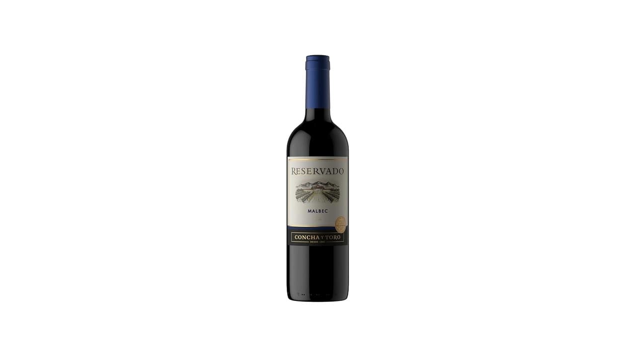 Qual Melhor Vinho Malbec Argentino para Sabores Intensos e Frutados?