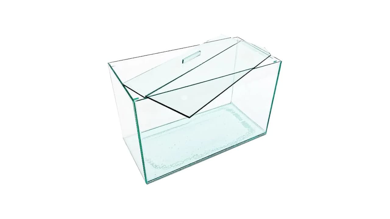 Qual Melhor Aquário para Peixe Betta? 7 Modelos Testados para Iniciantes