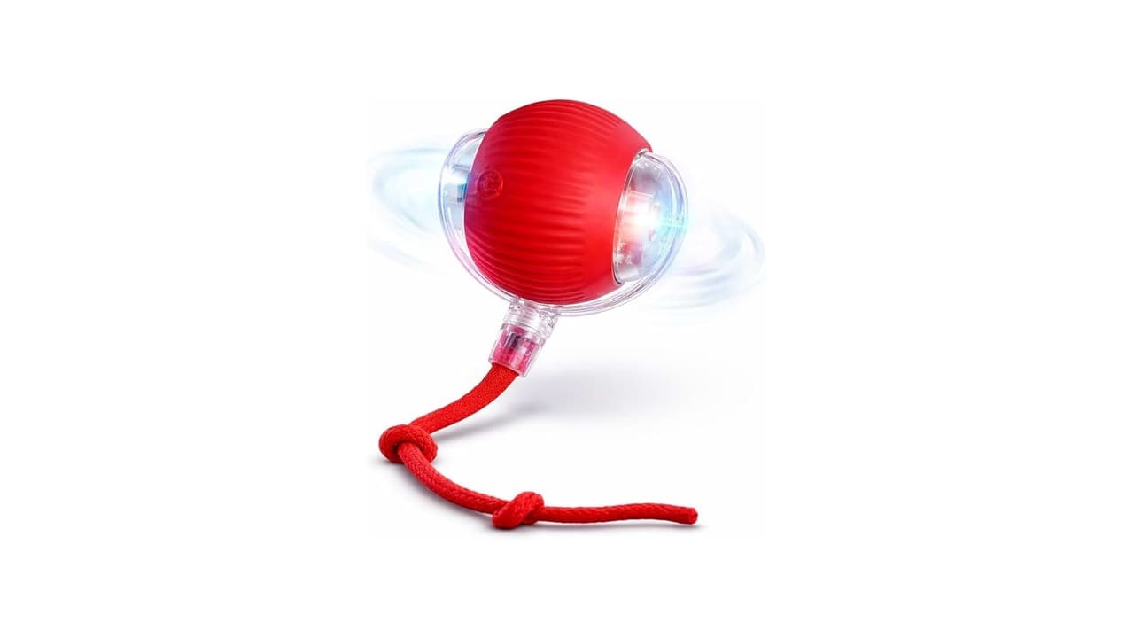 Qual o Melhor Brinquedo para Cães Sozinhos? Confira 8 Opções Testadas