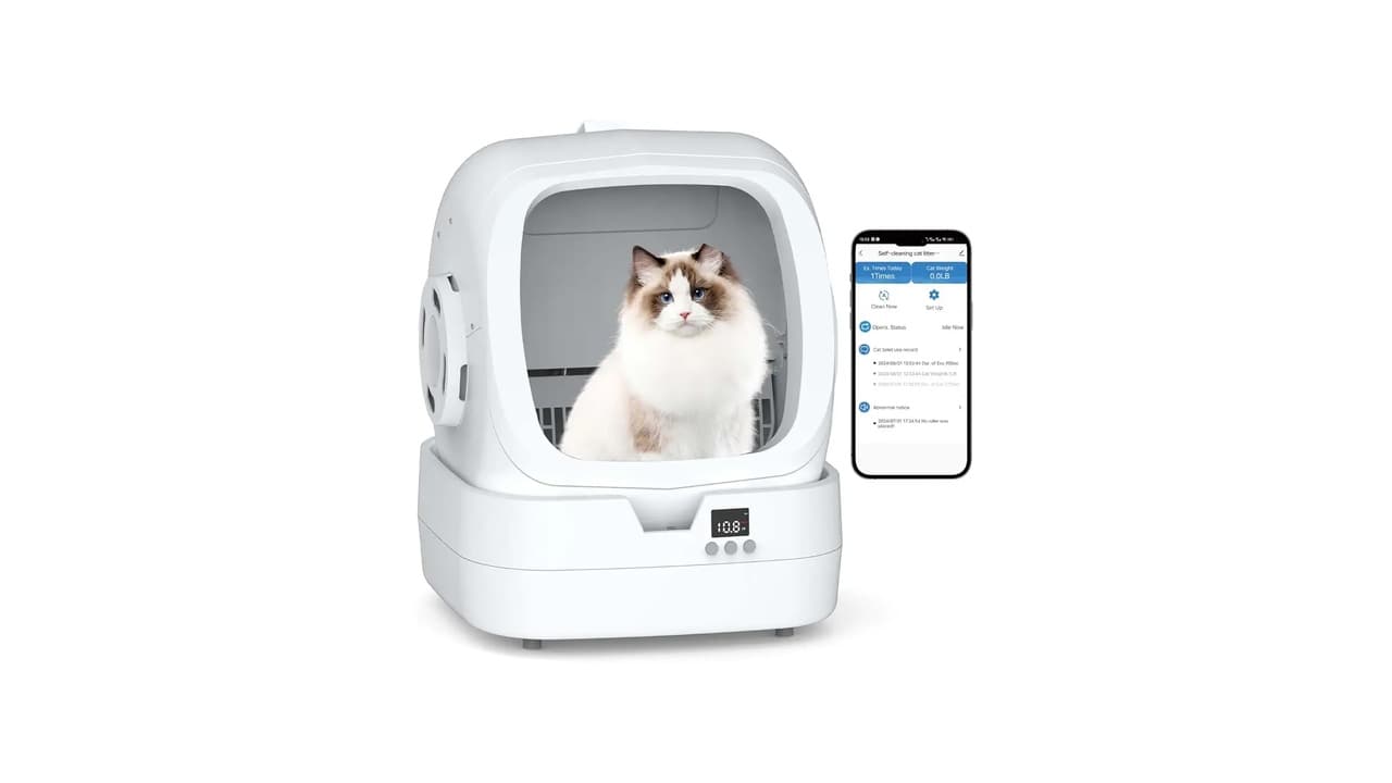 Qual a Melhor Caixa de Areia Automática para Gato? 7 Opções Testadas e Aprovadas
