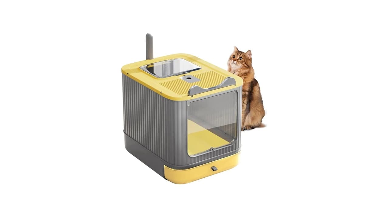 Qual a Melhor Caixa de Areia Fechada para Gatos? 10 Opções Anti-Odor e Higiênicas