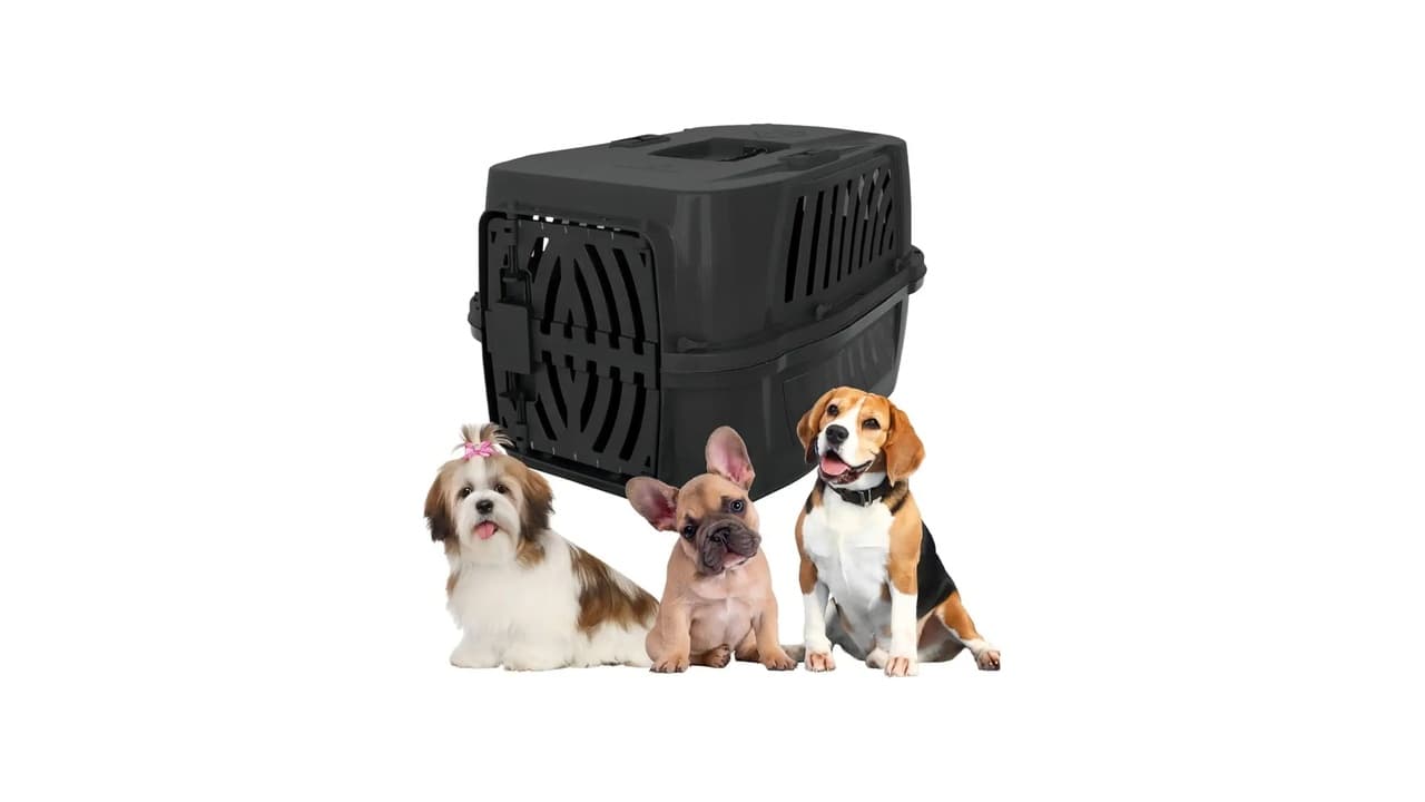 Qual a Melhor Caixa de Transporte para Cães? 10 Opções Seguras e Resistentes