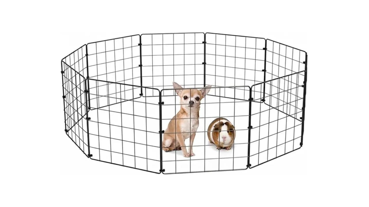 Qual o Melhor Cercadinho para Cachorro? 7 Opções Testadas e Aprovadas