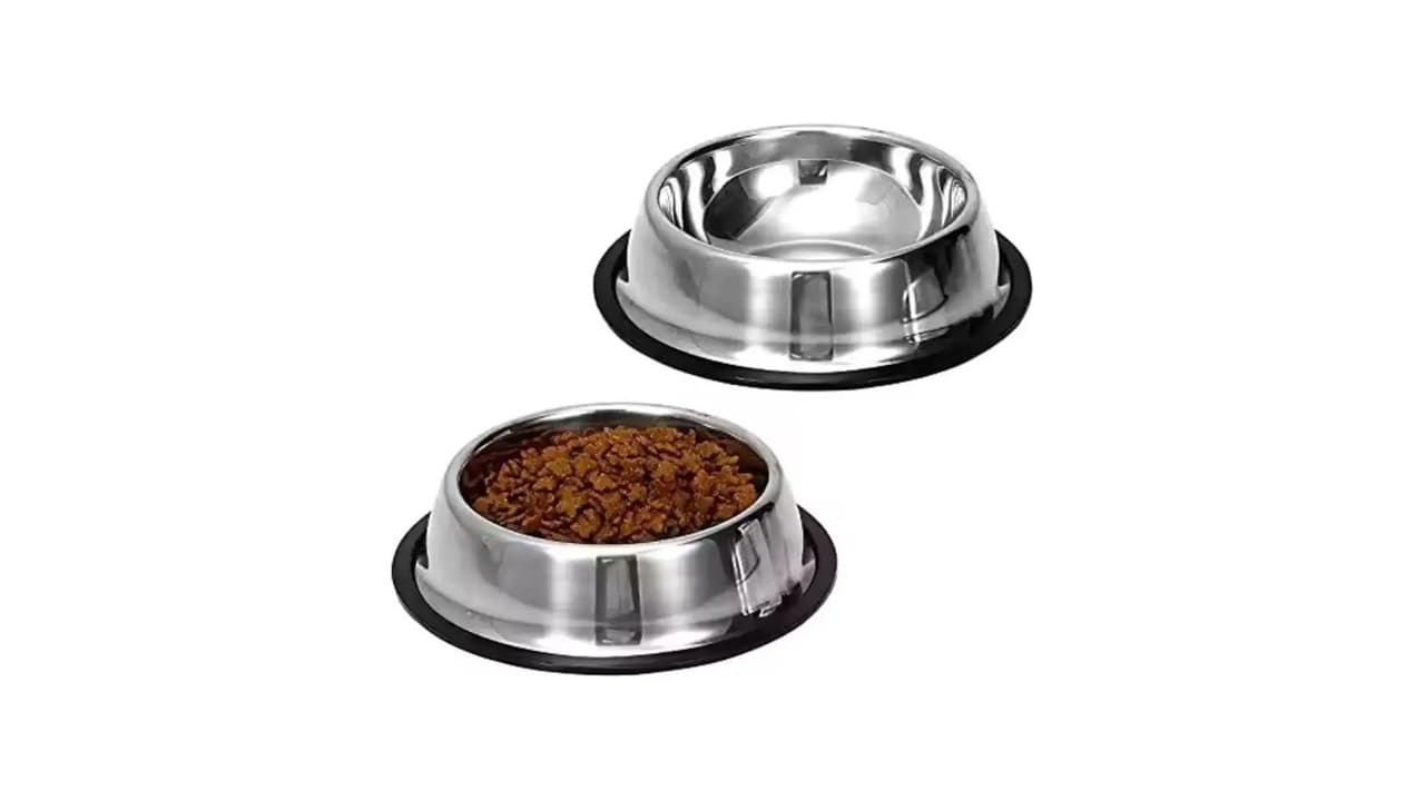 Qual Melhor Comedouro para Cachorro: 9 Modelos Testados e Aprovados