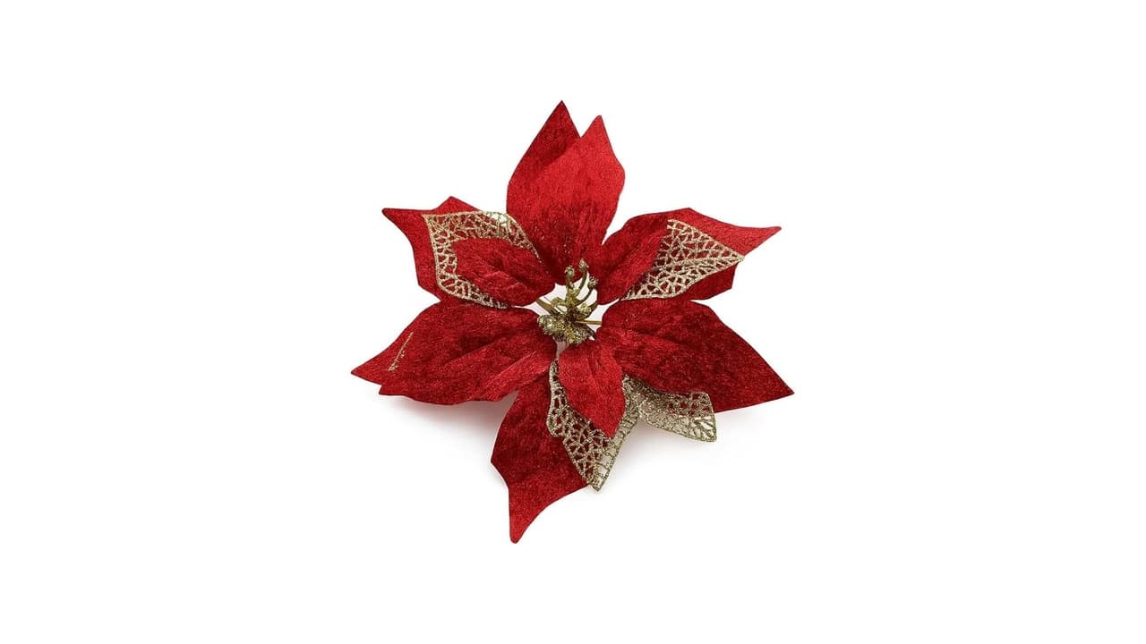 Qual Melhor Enfeite de Natal? 10 Opções que Iluminam sua Decoração!