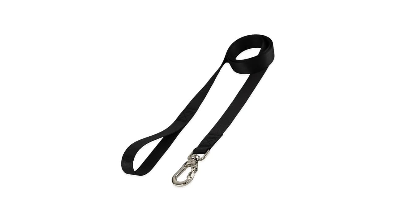 Qual a Melhor Guia para Cães de Grande Porte? 10 Modelos Testados e Sem Erros
