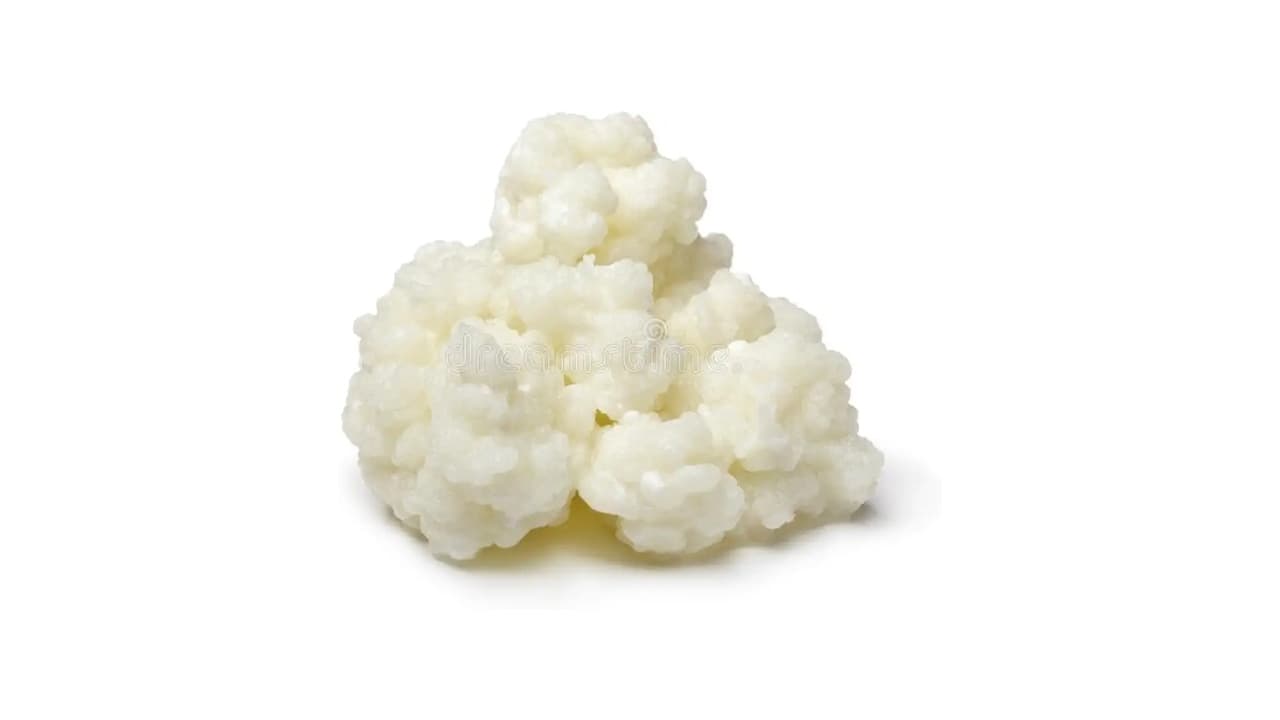 Qual Melhor Leite para Kefir: 8 Opções com Probióticos e Cultivo Fácil