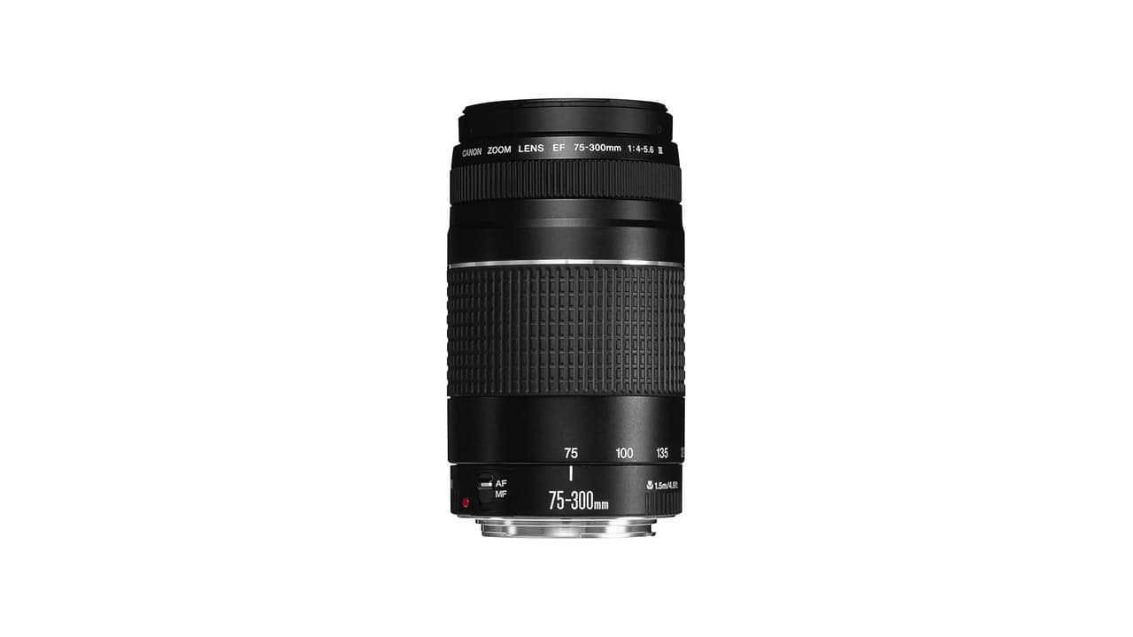 Qual a Melhor Lente Canon para Eventos? Confira 5 Opções Top