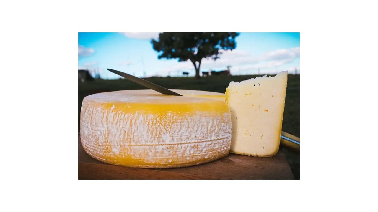 Qual Melhor Queijo Canastra de Minas? 5 Opções Top para Saborear Autêntico