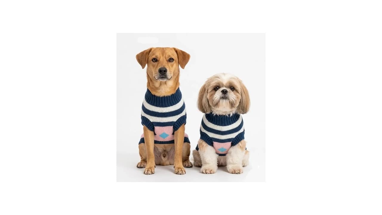 Qual Melhor Roupa de Inverno para Cachorro? 7 Modelos Top para Manter Seu Pet Aquecido!