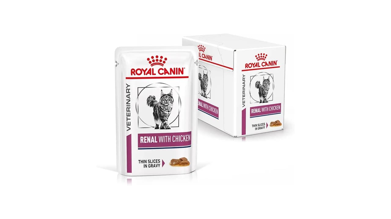 Qual a Melhor Sachê para Gato Renal? 8 Opções Testadas e Aprovadas