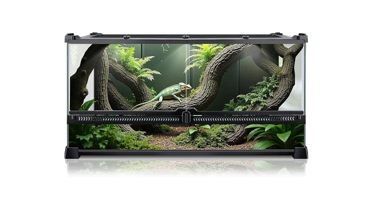 Qual o Melhor Terrário para Cobra? Veja 7 Opções com Abertura Frontal e Ventilação Ideal