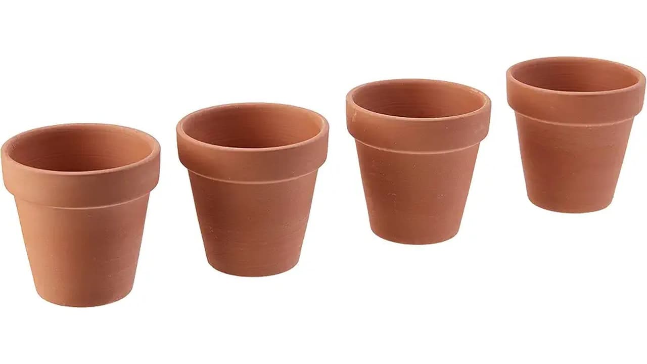 Qual Melhor Vaso de Barro? 12 Modelos para Cactos e Decoração Natural