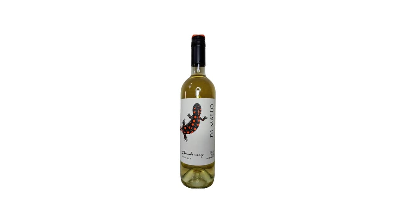 Qual o Melhor Vinho Branco para Risoto? 6 Opções Testadas e Aprovadas