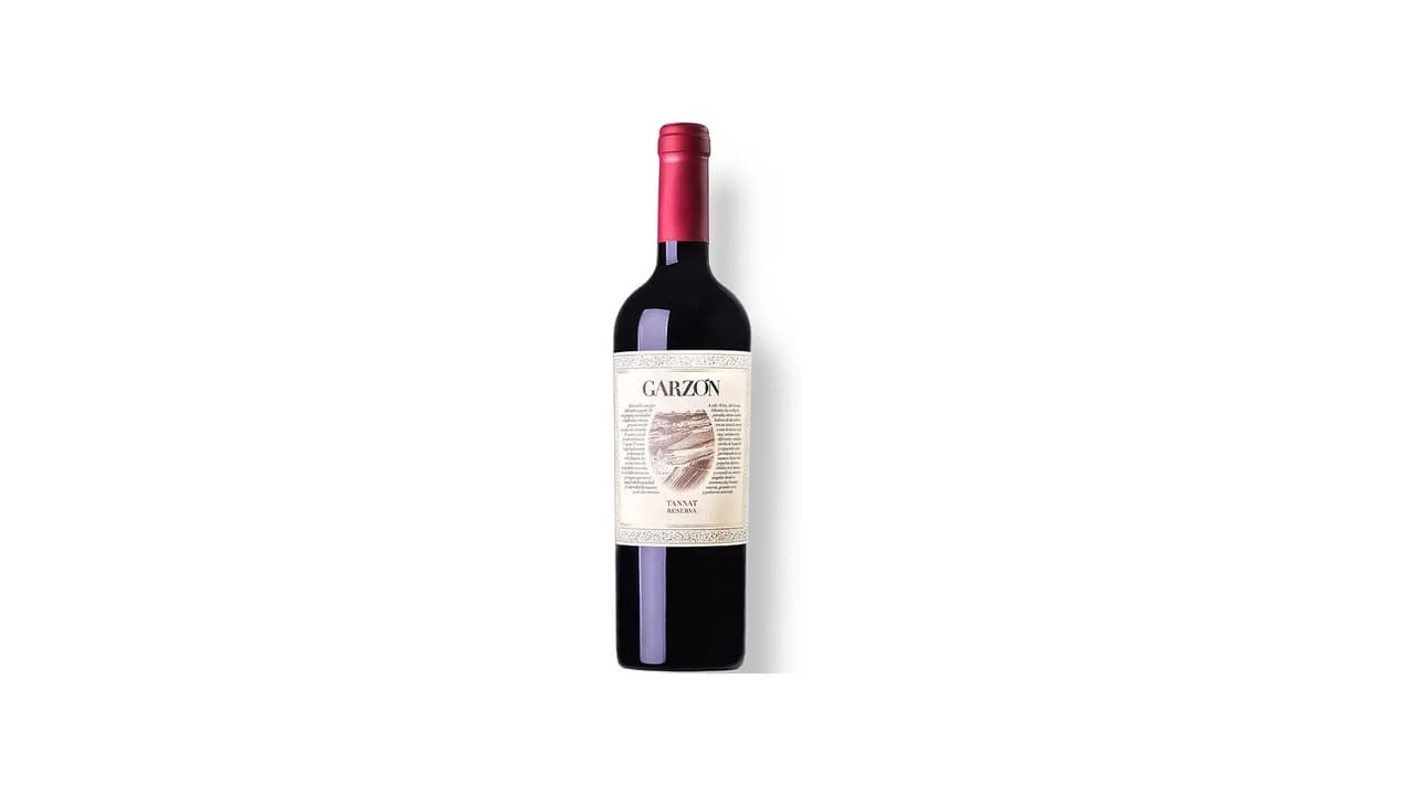Qual o Melhor Vinho Tannat Uruguaio? 7 Opções Testadas e Aprovadas