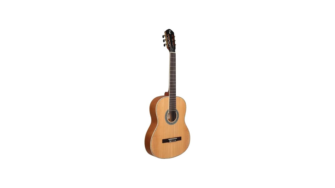 Qual o Melhor Violão Tagima: 5 Modelos Top para Iniciantes e Profissionais